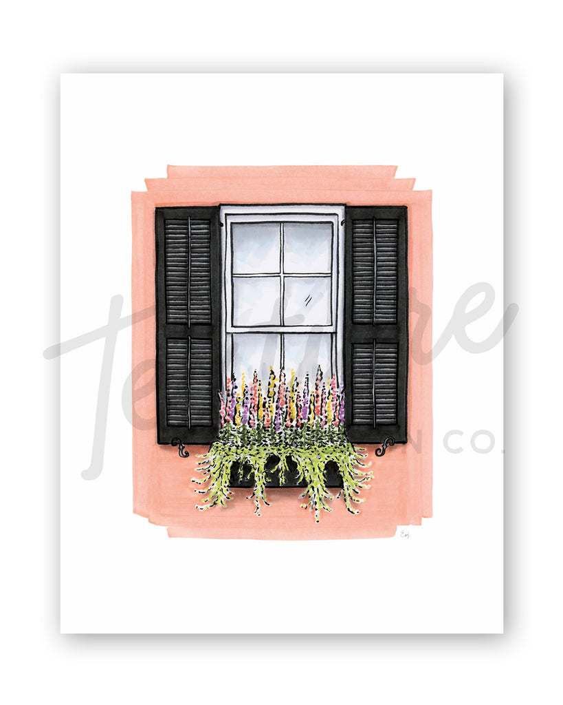 Flower Box Print of Bright Pink House with Snapdragons