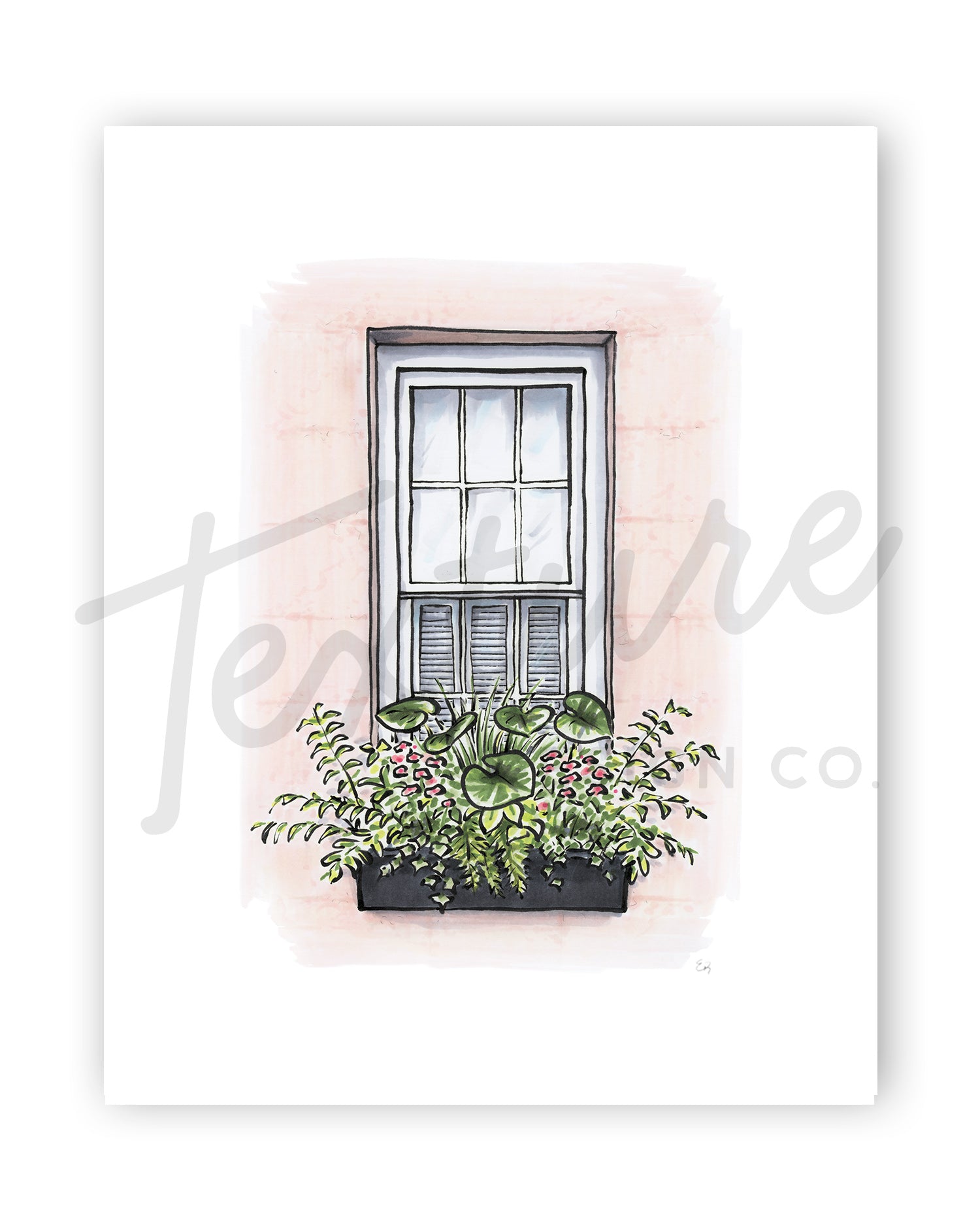Charleston Flower Box Art Print