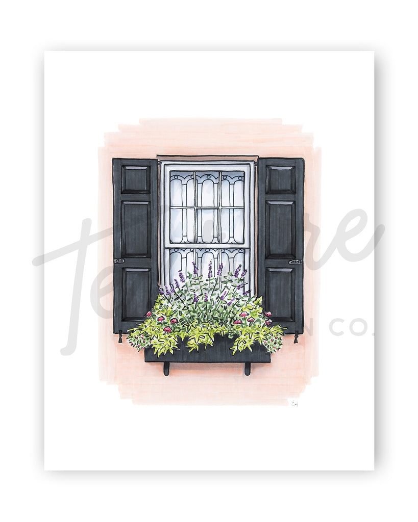 Flower Box Print of Light Coral House with Black Shutters
