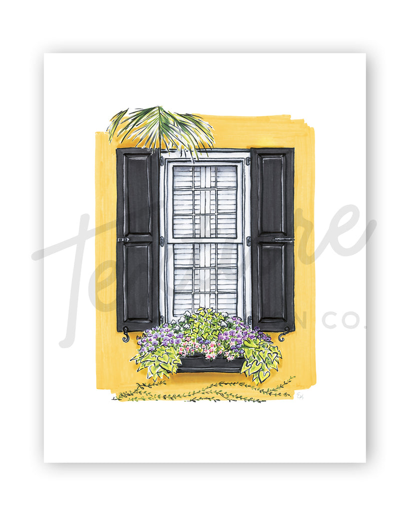 Flower Box Print of Yellow House with Vine