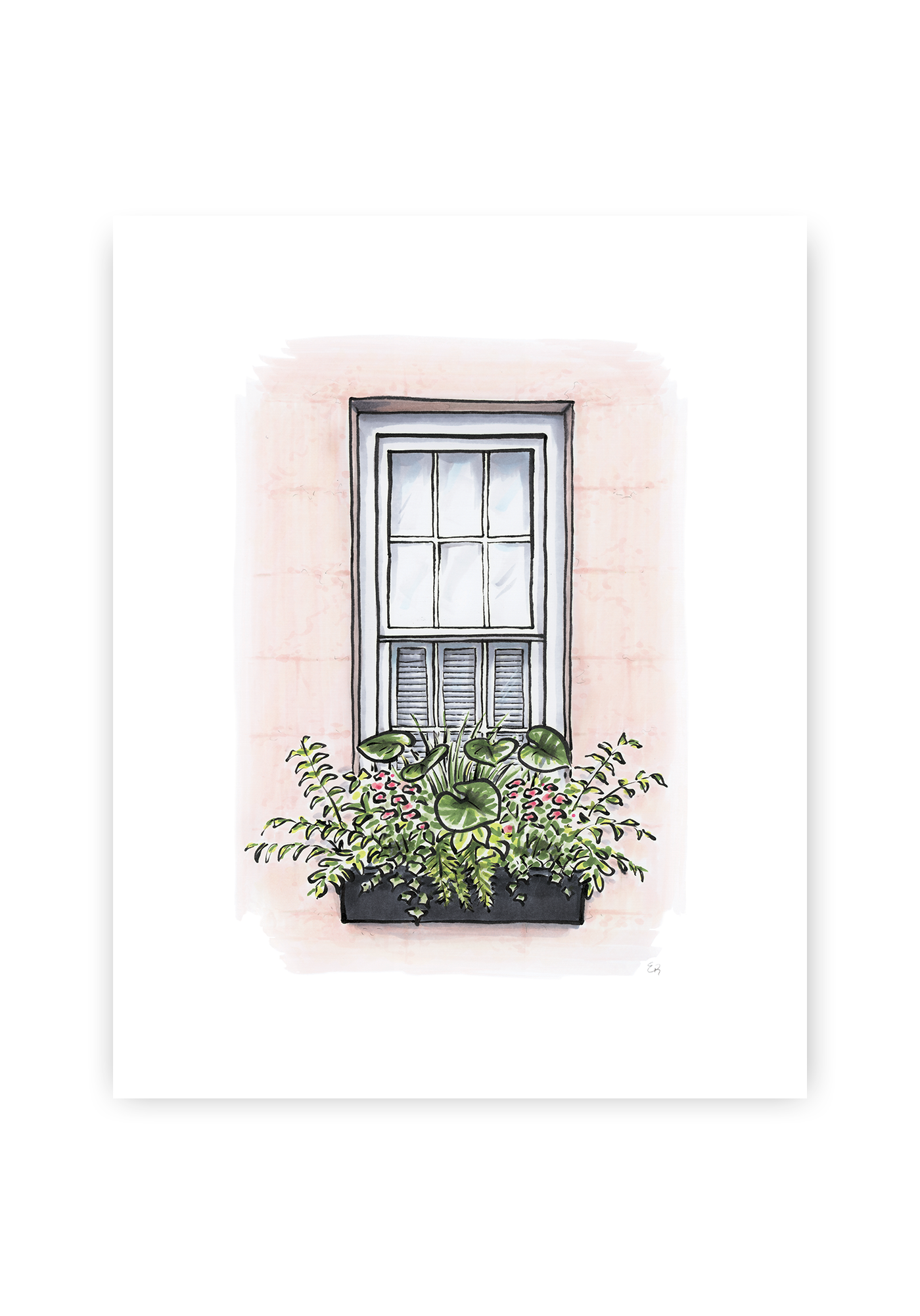 Flower Box Print of Pink House with Greenery
